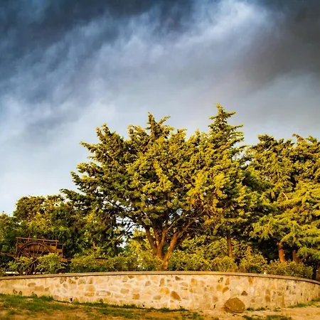 La Torre-1984 Bed and Breakfast Sarnelli