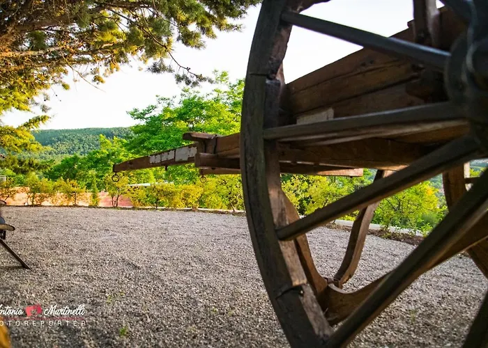 Bed & Breakfast La Torre-1984